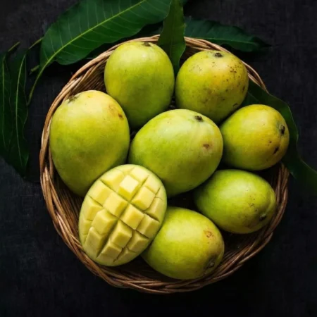 Kesar Mango – Authentic Gujarat Kesar Mango Online | Junagadh Kesar Mango | Mangohub